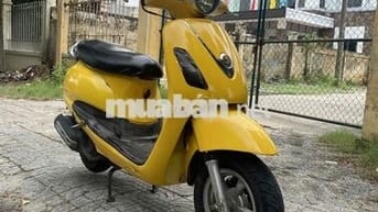 Atila elizabeth biển 43