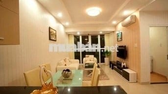 Cần cho thuê căn hộ chung cư Tân Phước Plaza, 1PN đầy đủ nội thất