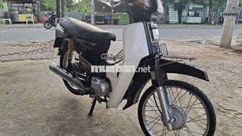 DIM Hàn quốc . Bstp . Cà vẹt đầy đủ .