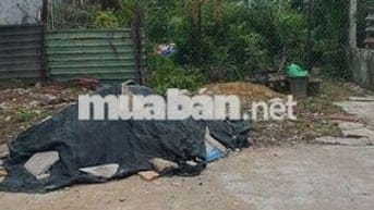 Anh Ruột Nhờ Đăng Giúp , Giá Trên còn thương lượng