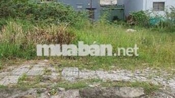 Em Ruột Cần Bán , Gấp , Có bớt Cho Ai thiện chí