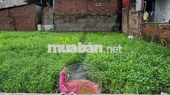BÁN ĐẤT THỔ CƯ 79M TẠI YÊN PHÚ _YÊN MỸ_HƯNG YÊN_NỞ HẬU