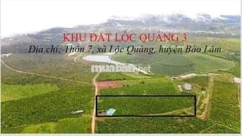 🌿 CHÍNH CHỦ BÁN 33 LÔ ĐẤT TẠI LỘC QUẢNG – BẢO LỘC, LÂM ĐỒNG 🌿