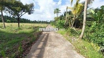 🌳Bán đất vườn16.000m² nhà 3PN–sát cầu Rạch Miễu 2 (800m) mới thông xe