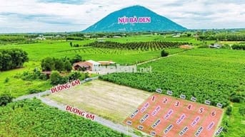 Đất Nền Full Thổ Cư Tại DMC Tây Ninh