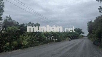 Cần bán nhanh lô đất Mỹ Phước, Tân Phước, mặt tiền đường DT 867