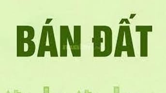 Bán đất đấu giá khu Trường Danh, thôn Tràng Cát, X.Kim An, H.Thanh Oai