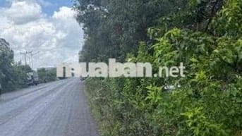 Cần Bán Đất ở Mỹ Phước, Tân Phước, Tiền Giang