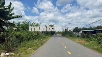 15x40 600m2 300 Thổ Cư 195Trieu Bán Gấp