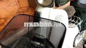 Cúp Nhật 86 hơi 50 CcKim Đỏ màu vỏ dưa