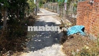 đất phong phú nền đẹp tiện đầu tư xây nhà