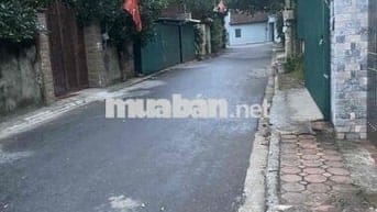 BÁN ĐẤT BIỆT THỰ TẠI GIA LÂM 175.2m, Ngõ rộng ô tô tránh nhau