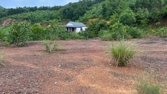 🌺 CHỈ 4xx TR*IỆU 🌺 ⭐️ Sở hữu ngay lô đất gần 250m2 có 70m2 thổ cư