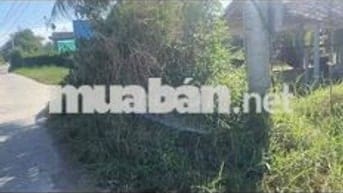 bán đất vườn gò công đông tiền giang diên tich 1000m