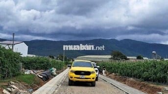 🏡 Bán lô đất đẹp 447m² (137m² thổ cư) tại Đơn Dương – Giá chỉ 1,3 tỷ,
