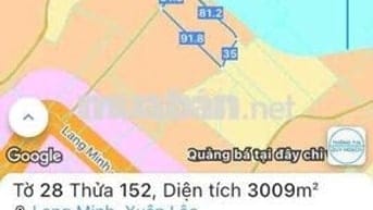 3000m2 đất Lang Minh 2 mặt tiền