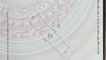 MAI CHÂU, ĐẠI MẠCH Ô TÔ CAMRY VÀO ĐẤT, SẴN DÃY TRỌ DÒNG TIỀN