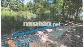 Bán ĐGTS đất tại phường Hòa Lợi, TP. Hồ Chí Minh