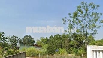 150m² ( 5m × 30m ) Đất Nền Khương mỹ - Hoà Vang