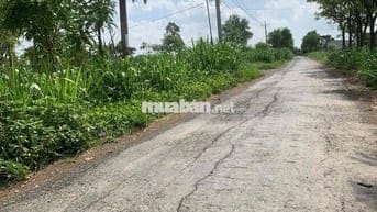 ĐẤT NỀN XÃ TÂN HOÀ , GÒ CÔNG ĐÔNG