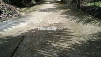 Bán 2117m2 đất vườn trồng dừa cách ĐH87 chỉ 50m hẻm xe hơi