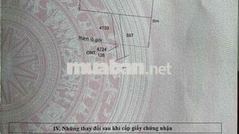 CHÍNH CHỦ CẦN BÁN ĐẤT MẶT TIỀN DT830 TÂN TẬP