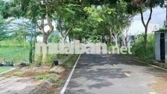 CC cần bán gấp cặp nền view công viên KDC Tràng An