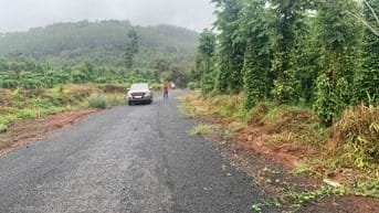 giá bán 4 tỷ 500 trên 1 ha, tổng diện tích 8ha