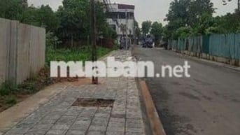 Đất 50 năm sẵn sổ đỏ 257m mặt đường nhựa container
