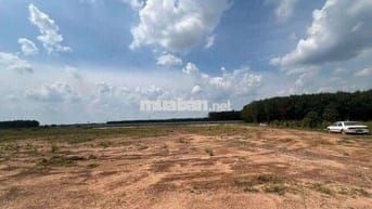 Đất SKC sản xuất kinh doanh 30 năm 1,1ha Giá 17,4 tỷ