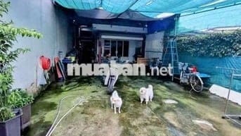 Nhà cấp 4 SHR mặt tiền Tân Chánh Hiệp 5-Q12.Dt 6,6x30~192m2~9,7ty