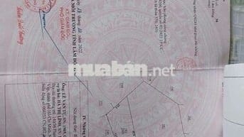 BÁN 2.000 M2 ĐẤT VƯỜN, ĐANG THU HOẠCH, TẠI TP. BẢO LỘC- GIÁ 3 TỶ.