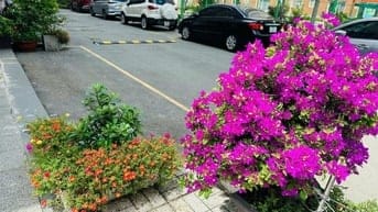 cần bán căn shophouse chung cư green town bình tân, DT 128m2 3PN 2WC.