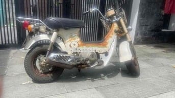 bán chaly cổ của bà dì