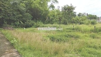 🔥 BÁN GẤP LÔ ĐẤT ĐẸP 210㎡ ĐÃ CÓ SỔ TẠI TRUNG TÂM HUYỆN PHÚ NINH 🔥