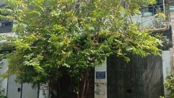Bán căn nhà 8x17m, đường Huỳnh Văn Nghệ, P.12, Gò Vấp