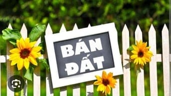 BÁN ĐẤT SÓC SƠN – GẦN SÂN BAY NỘI BÀI