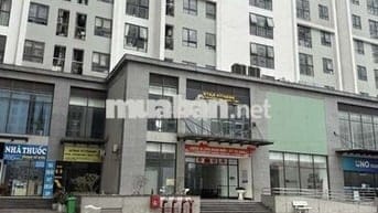 ECOHOME TÂN XUÂN GẦN 70M, 2PN 2VS GIÁ CỰC TỐT CHO ĐẦU TƯ