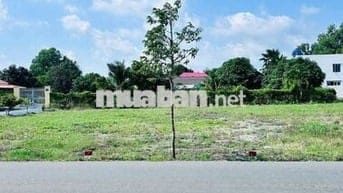 Bán đất tại Trương Định, Cần Đước, 6 tỷ, 293m2, sổ sẵn công chứng ngay
