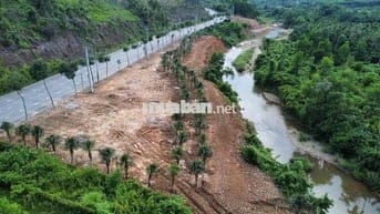 1000m đât viêt tay. đg 602. hoà ninh.