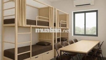 KTX xanh sạch đẹp và chill, đầy đủ tiện nghi
