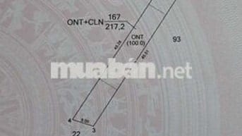 Bán lô đất Thanh Tuyền, Dầu Tiếng, Bình Dương. Nay Thanh An, HCM