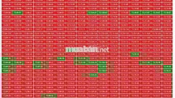 Nhà ở Xã hội Tại Trung Tâm TP Mới