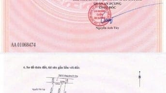 Cần bán lô góc tại Kiều Trung, Đồng Thái, An Dương, Hải phòng.