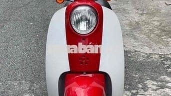 bán scoopy nhật nội địa