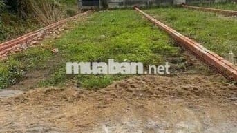 cần bán nền thổ cư 120m lộ oto,cách Phà Cát Lái 1,3km, sổ sẵn