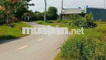 🍓Ngã 3 mỹ hạnh🍓nhà mặt tiền khủng 5mx45m🍓kinh doanh đa ngành🍓