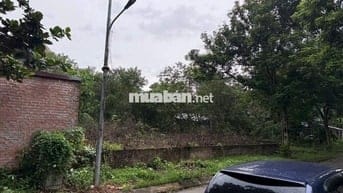 Bán đất KDT Hà Phong, Tiền Phong, Mê Linh. Gần trường DH Tài Chính và