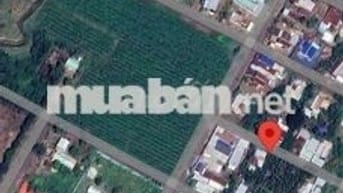 BÁN ĐẤT ĐƯỜNG NHỰA, THỔ CƯ, KHU DÂN CƯ