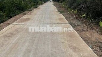 Chú cần bán gấp 7000m đất lúa Bến Lức